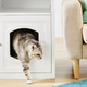 Illustration for article titled How I Solved My Home Storage Needs With Clever Pet Furniture